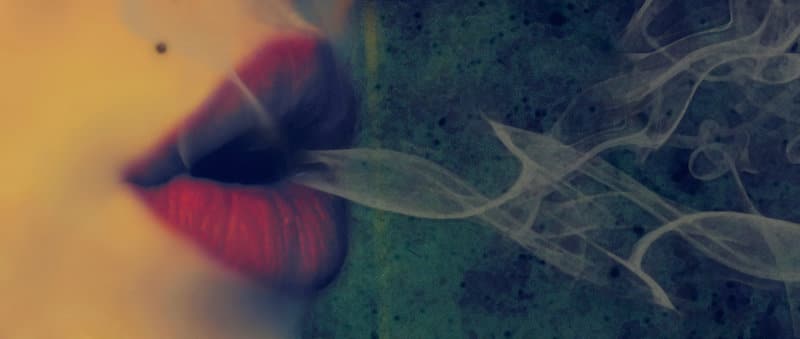 Damiana: The Lover’s Herb