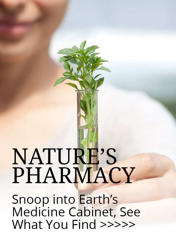 plant-in-a-test-tube-promo-2 - Bear Blend