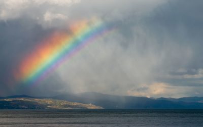 Rainbow Connection: Synchronicity & the Rhythms That Inspire Bear Blend