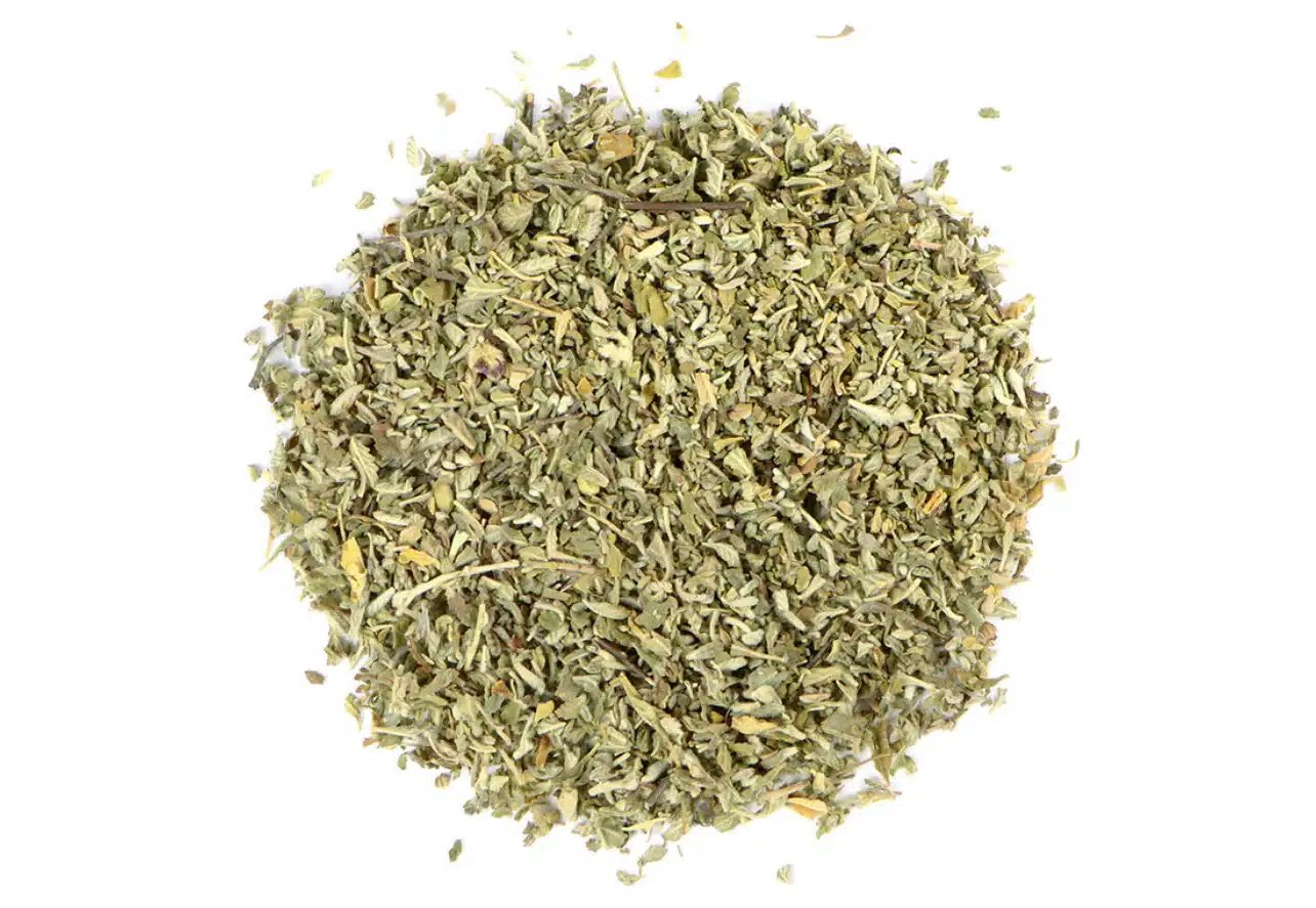 image_03d00645-cc3e-4b2e-953f-7068622a0240 - Bear Blend