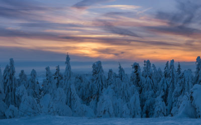 Odin, Yule and Solstice Serenity: Tuning in and Rekindling New Light