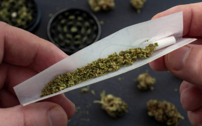 Are Herbal Cigarettes Good for You? Science, Instinct, and the Great Question Mark…