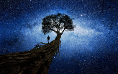 The Dream Lodge – an Herbal Ticket to Deep and Blissful Lucid Dreaming