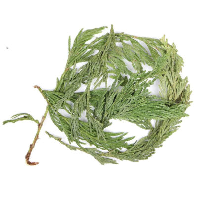 loose-herbs-incense-cedar-loose-leaf-clusters-bulk-per-pound-32563870728364_1024x1024 - Bear Blend