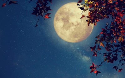 The Moon — Discover the Magic of Gaia and the Beauty of Feminine Connectivity