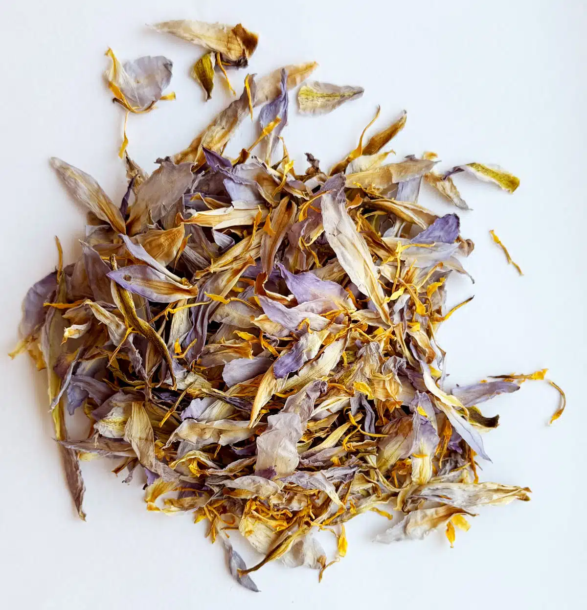 blue-lotus-herbs-2 - Bear Blend