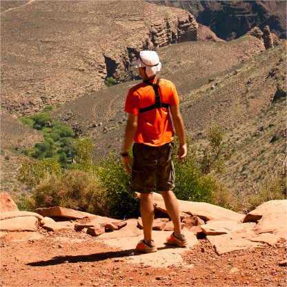 Zach - Bear Blend Zach Richter