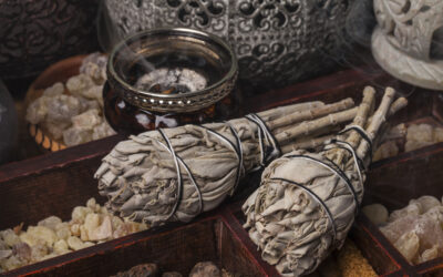 Discovering the Power of Rituals