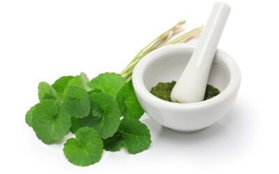 What in the World is Gotu Kola?