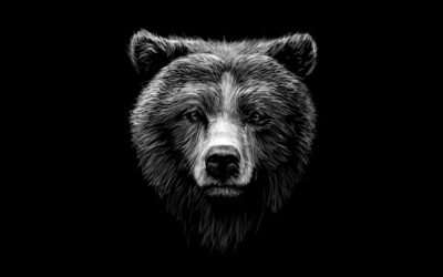 Bear Medicine: Harness the Healing Solitude of This Animal Spirit Totem
