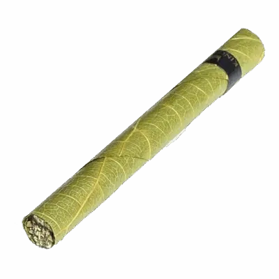 king-palm-single - Bear Blend