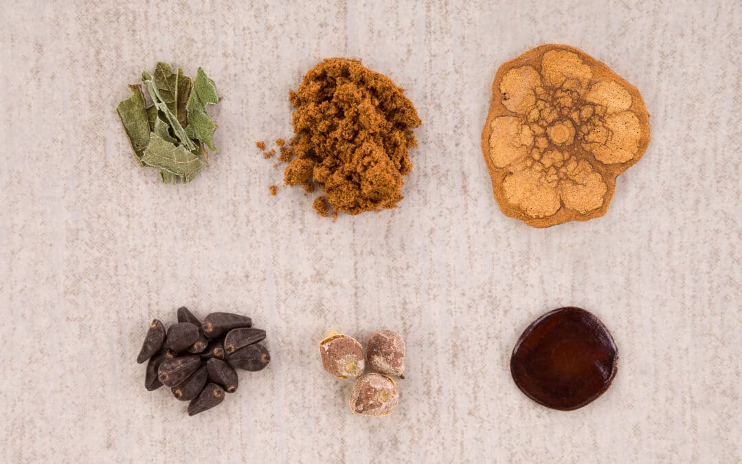 Why are some plants illegal to grow? Free the plants, free your mind