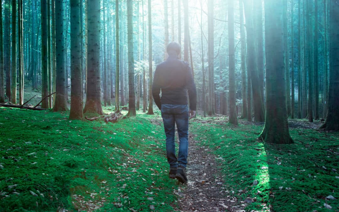 Are Plants Talking Shit? How Plants Communicate Nature’s Intelligence