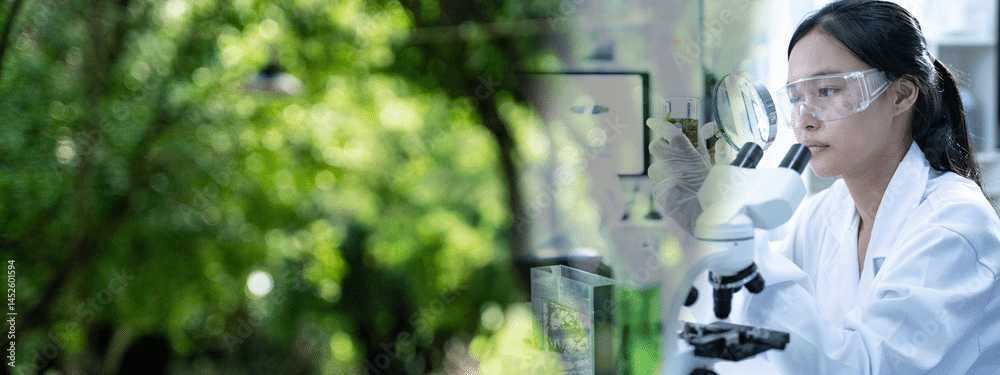 imagen_2025-07-16_205942341