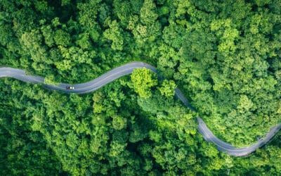 Take a Plant Journey: 3 Herbs to Expand Your Mind and Enliven Your Soul