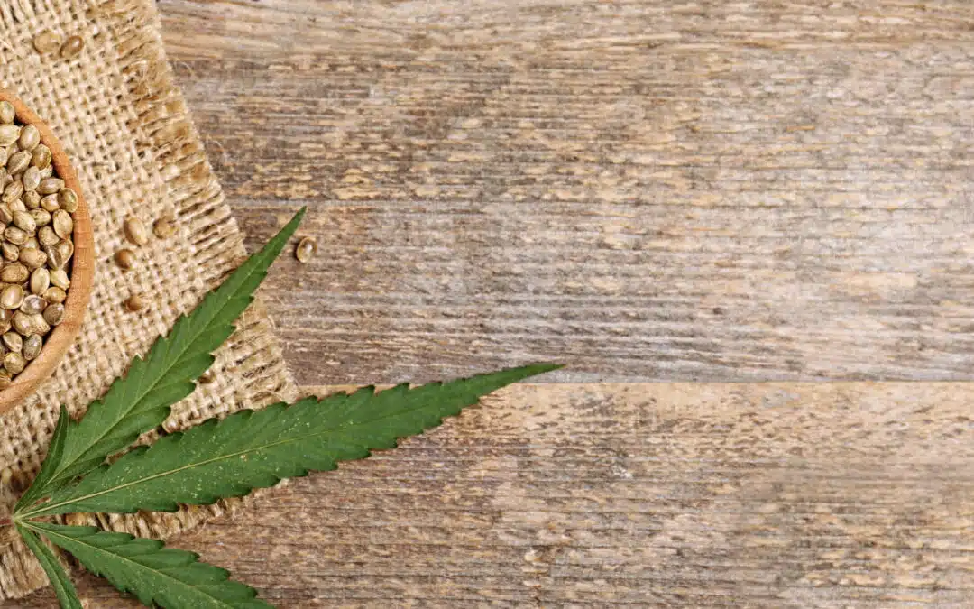 Seeds: Planetary Hitchhikers of Worlds in a Raindrop’s Dollop of Wisdom