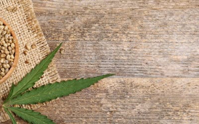 Seeds: Planetary Hitchhikers of Worlds in a Raindrop’s Dollop of Wisdom