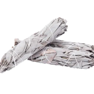 white-sage-smudge - Bear Blend